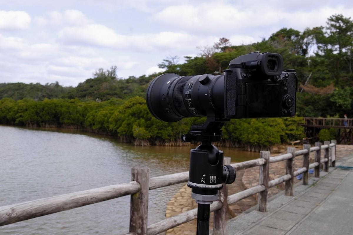 年轻人入坑长焦必选适马500毫米定焦镜头评测