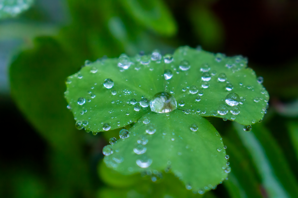 你喜欢下雨的春天吗?