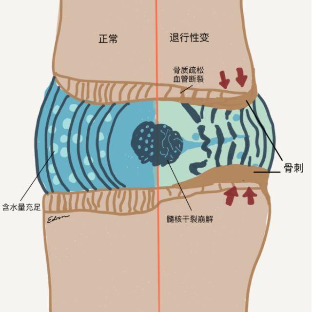 知乎日报