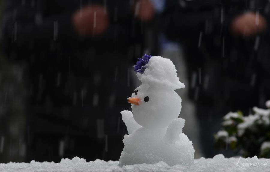 我们为什么喜欢下雪 知乎 我们为什么喜欢下雪 知乎