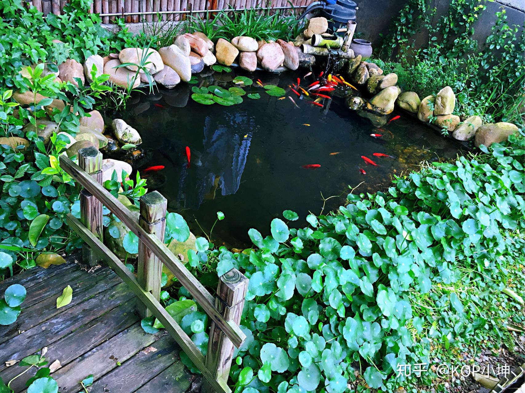30款庭院鱼池设计，值得参考_水池