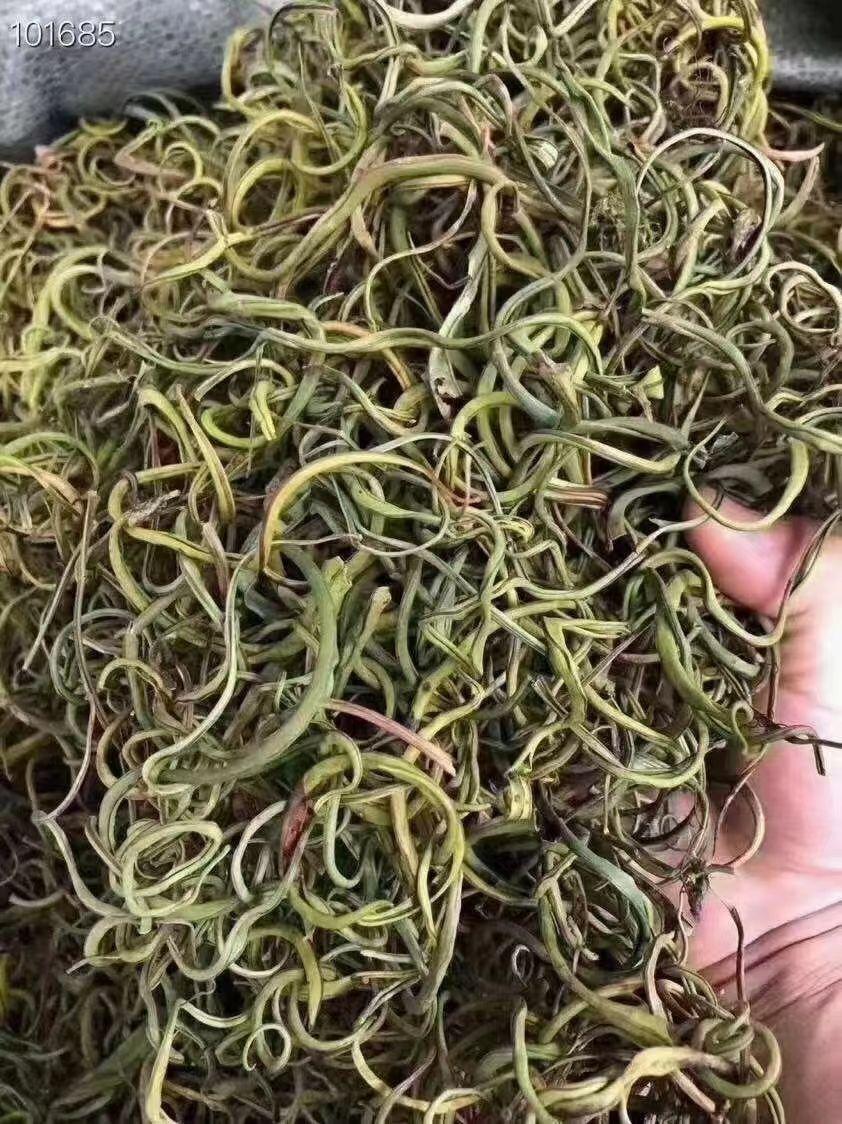 结石克星野生化石草一草破石自在放心