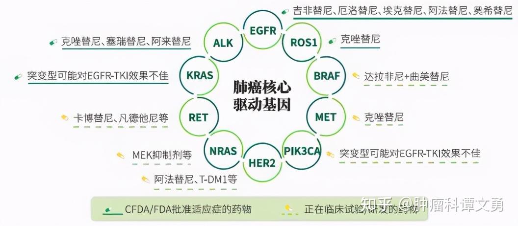 肺癌基因检测攻略值得收藏