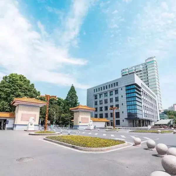 北京林业大学是否985_北京林业大学档次_北京林业大学是985还是211