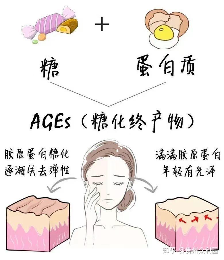 刺梨可以让你在抗糖化这件事上卷到极致