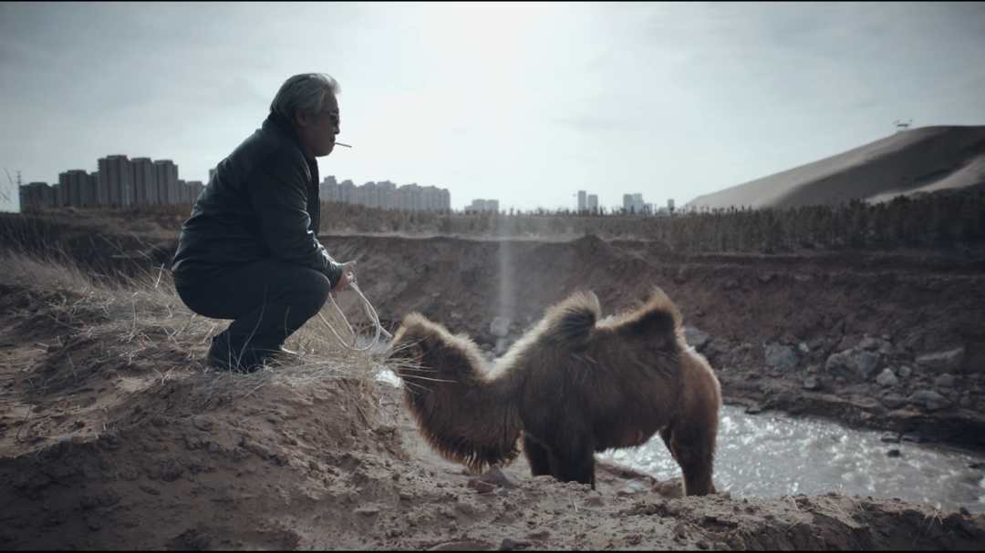 老兽涂们他说他曾见过一匹飞奔的老马