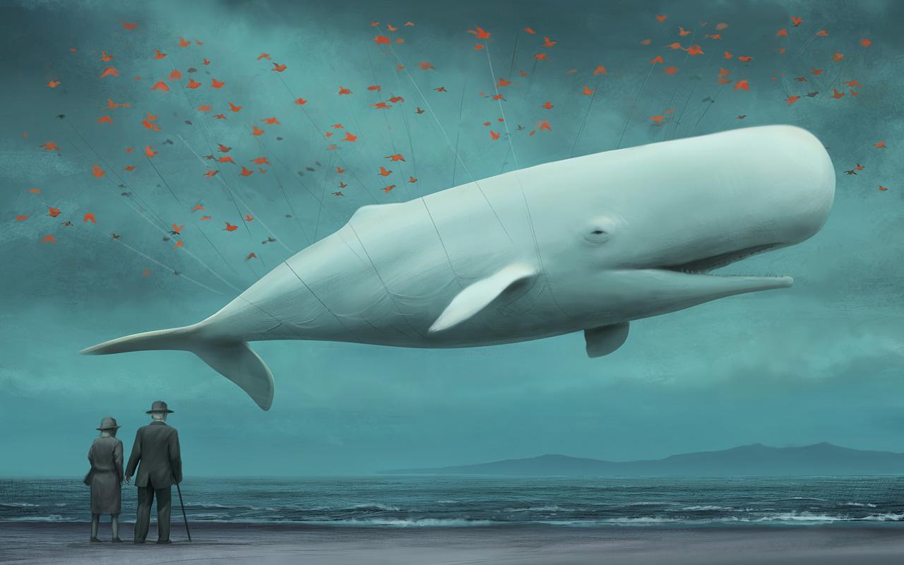 深海最凶狠动物：螺旋切割攻击，生吃虎鲸大白鲨，咬破美军潜艇_达摩