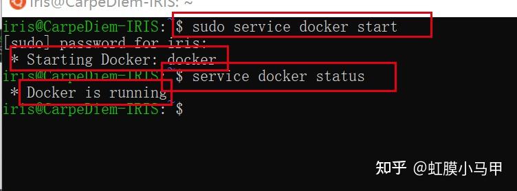 windows11-linux-docker