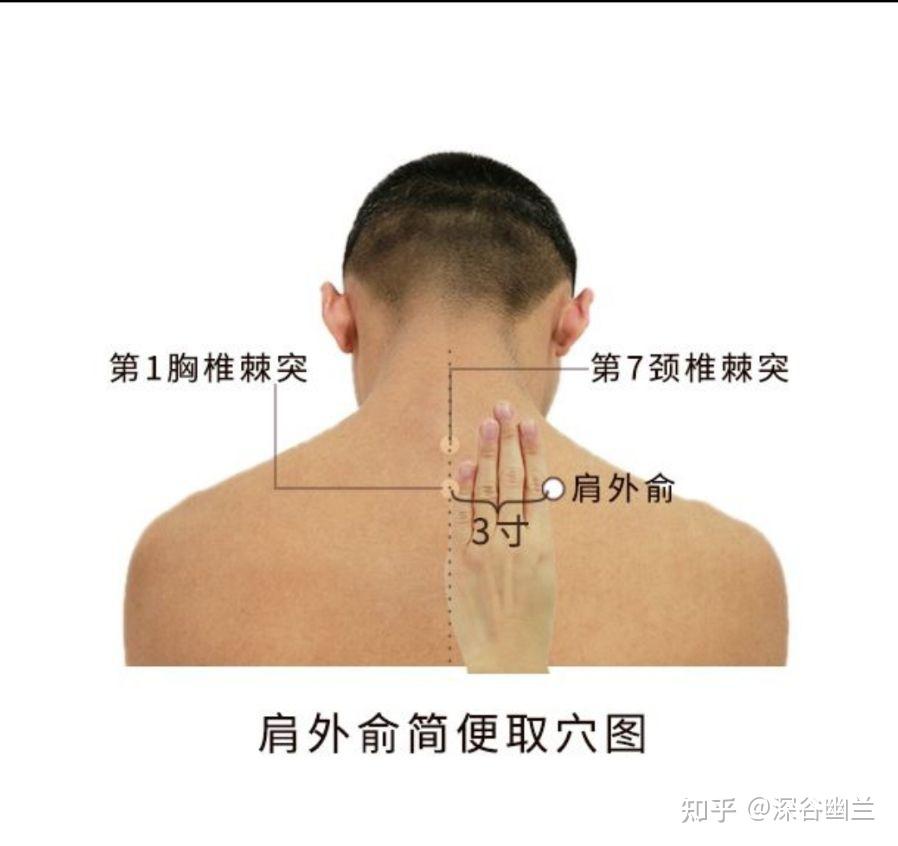 肩外陵的准确位置图图片