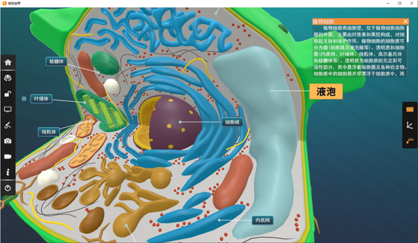 【高中生物】液泡知识大全，虚拟仿真资源自取！ - 知乎