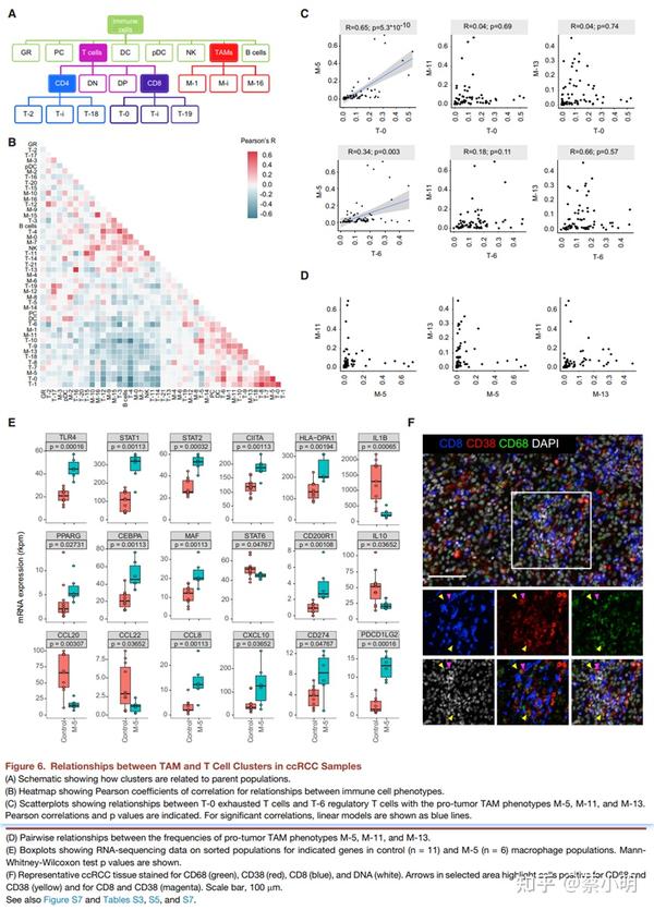 Nid237 an immune atlas of clear cell renal cell carcinoma 