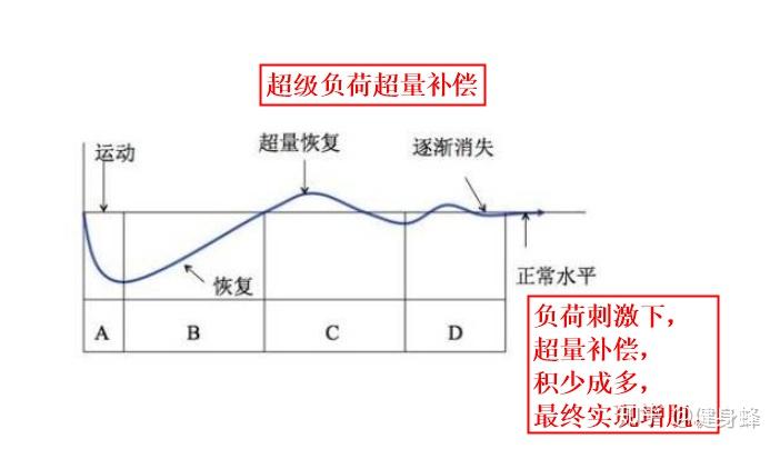 补偿效应图片