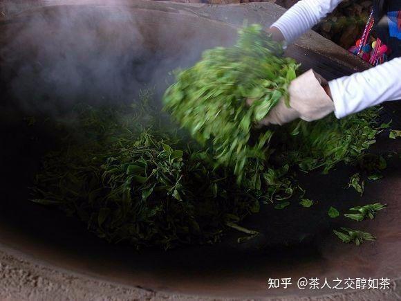 普洱茶杀青工艺中的几大争议问题