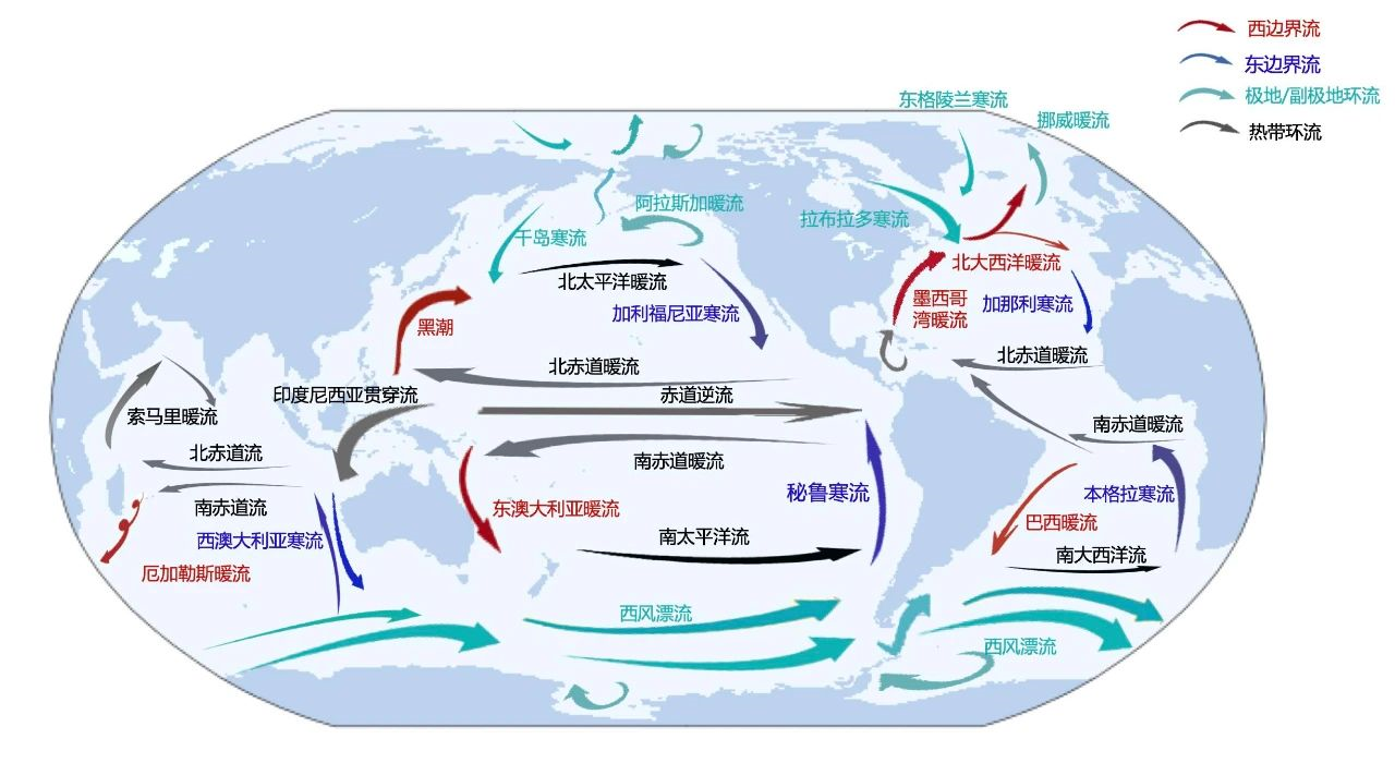 大西洋洋流环流图图片