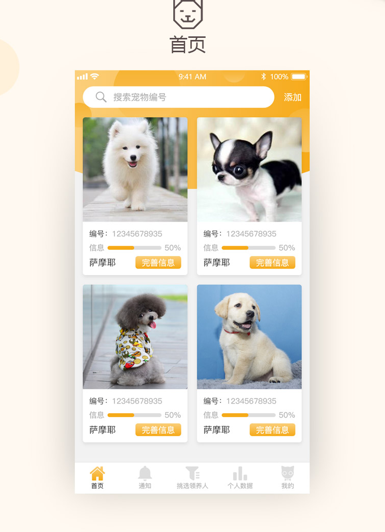 宠物行业的数字化之路：ERP如何助力健康成长