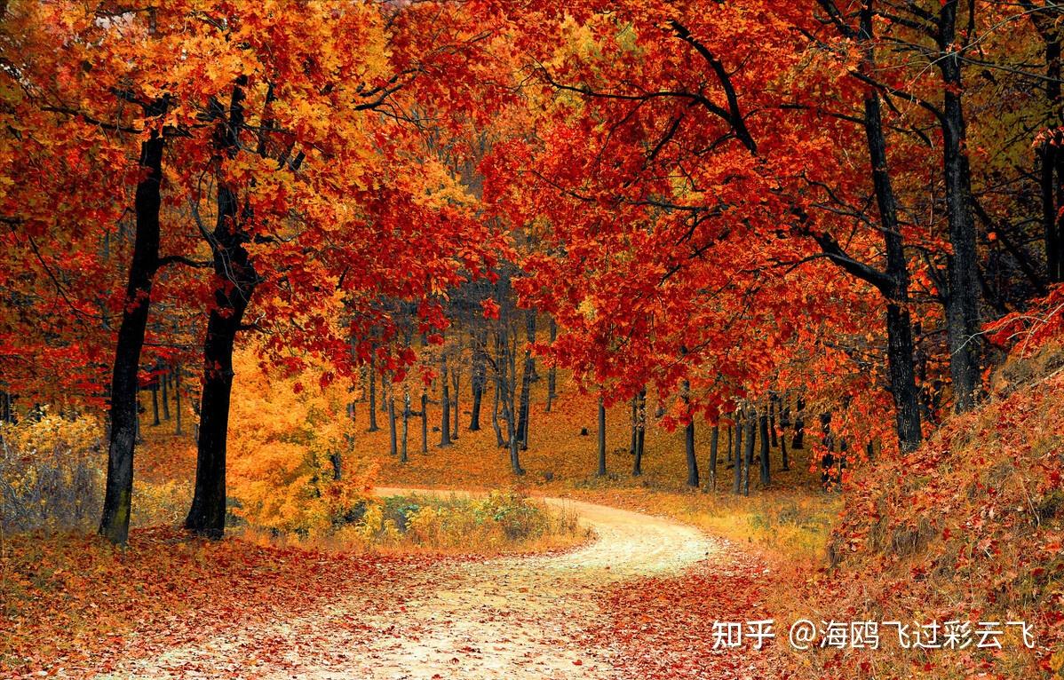 红叶晚萧萧，长亭酒一瓢