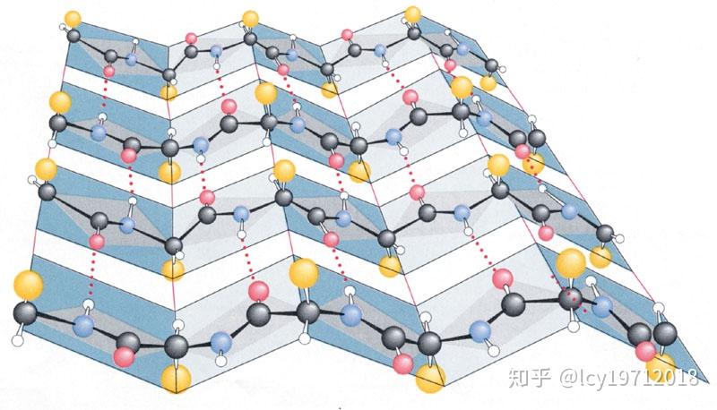 β-折叠的特性和应用
