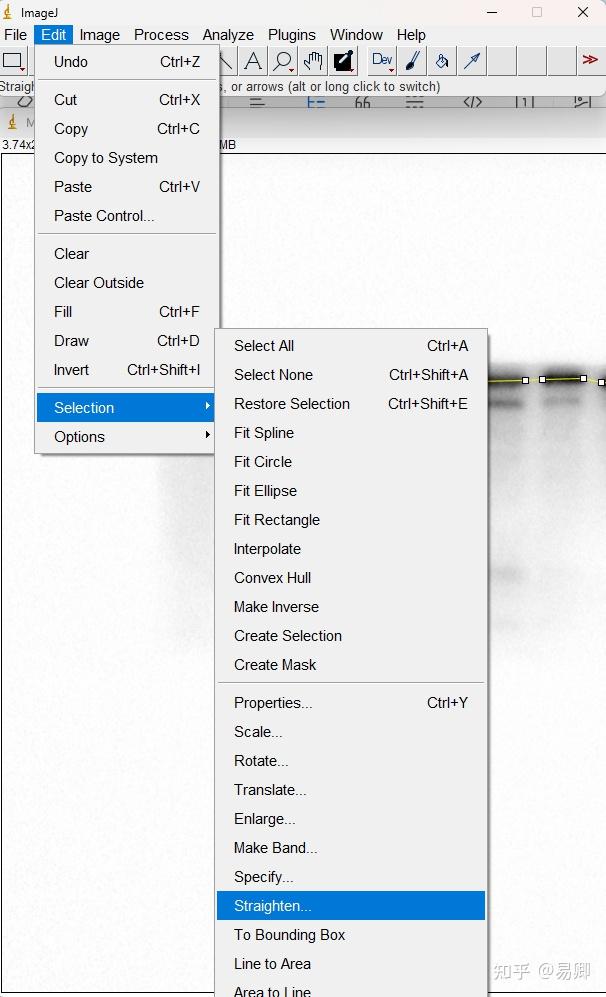 一文读懂！Image J与WB图像的处理与分析 知乎