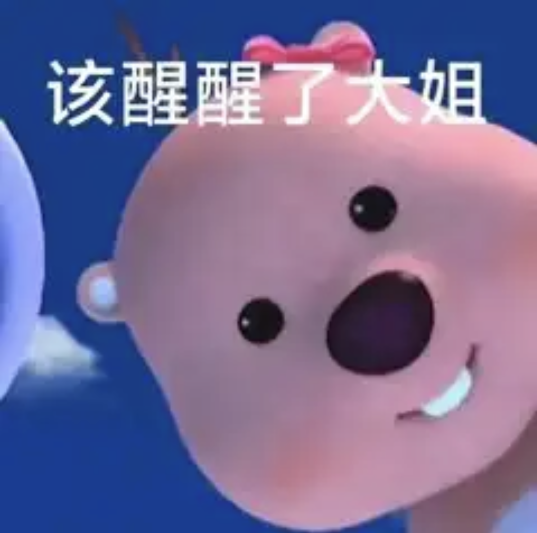 『小海狸loopy』阴阳怪气系列精选表情包，高清无水印，怼人常用 - 知乎
