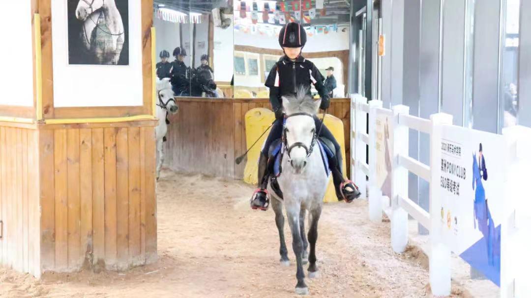 成立2年建20個校區騎樂馬術怎麼做這門最貴的兒童運動