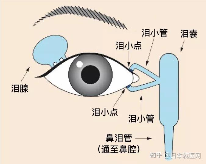 藥物導致的眼部疾病99症狀