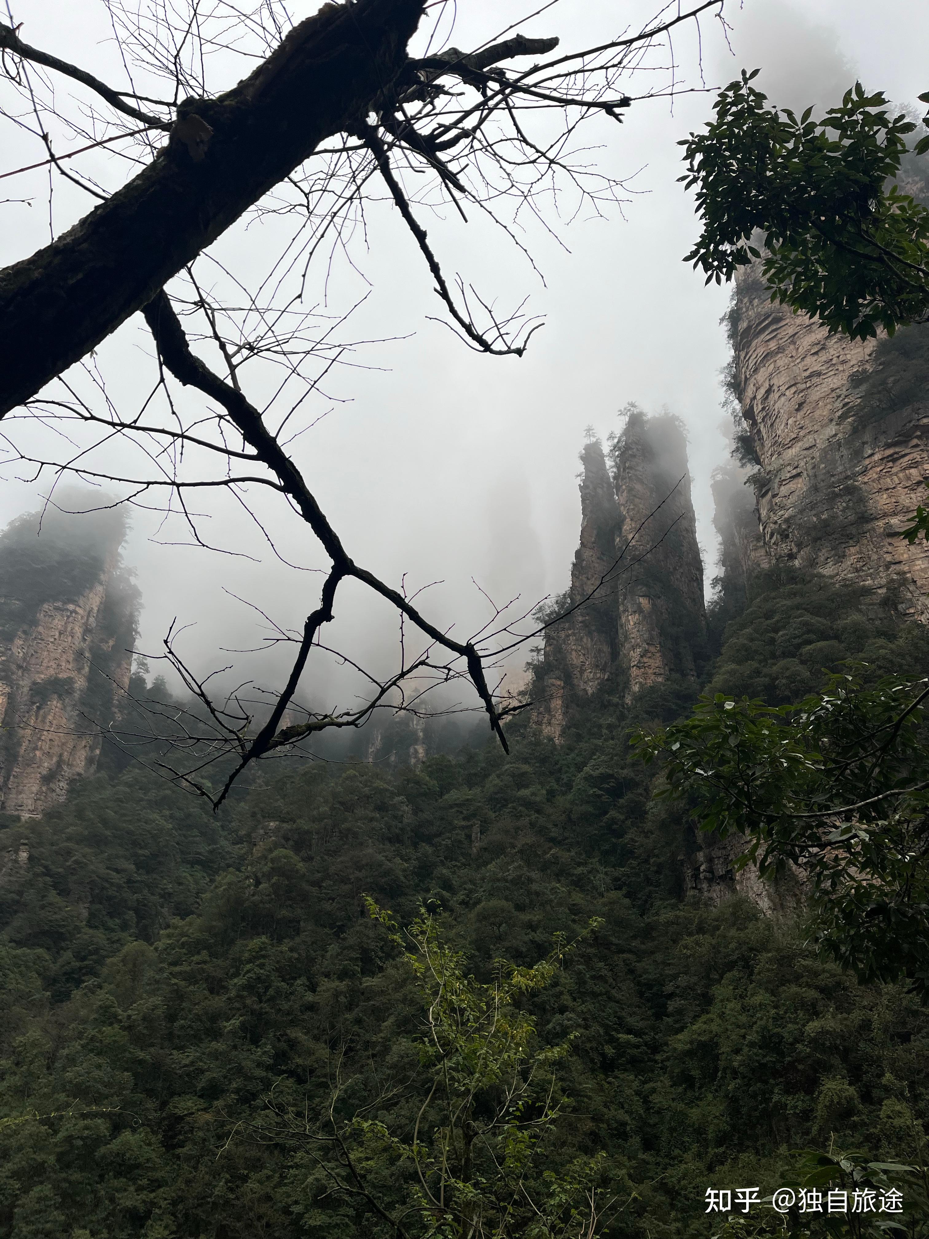 去張家界切記:看天氣預報前面五個旅行記錄都記錄在