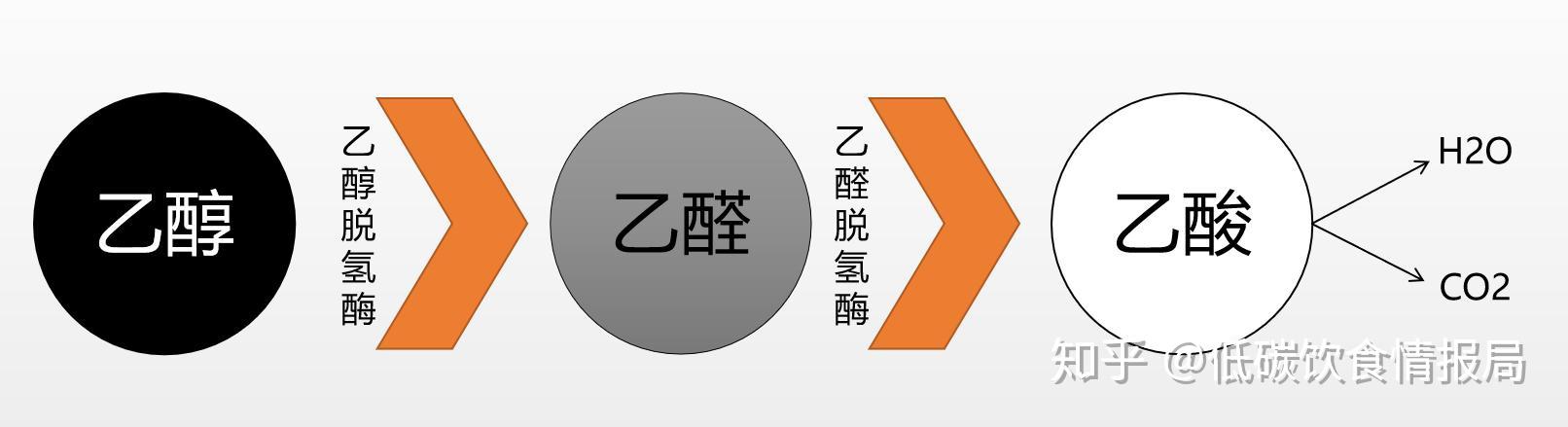 酒精会被「乙醇脱氢酶」分解成乙醛,乙醛是有毒的,酒精中的乙醛,毒性