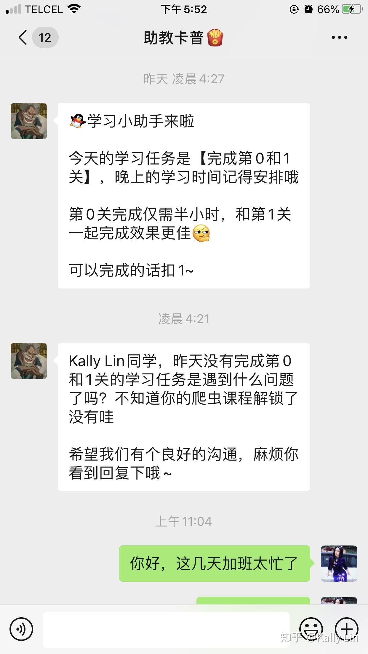 如何看待风变编程的 Python 网课?