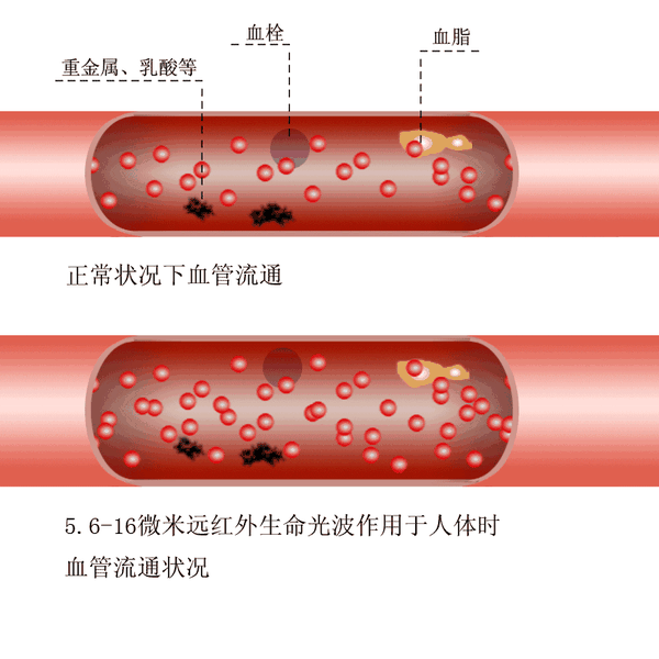 血虚则淡,血热则痒,血寒则冷,血瘀则痛,四个中成药,帮你养血补血 - 知乎
