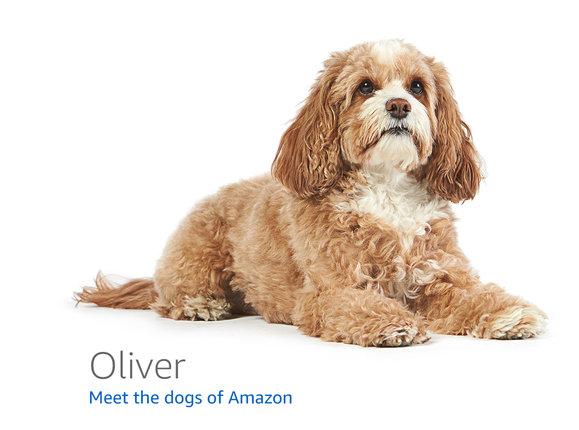 亚马逊站外推广之slickdeals红人怎么找