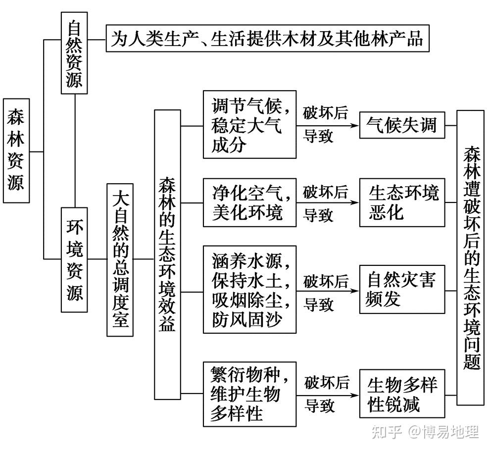 森林湿地思维导图图片