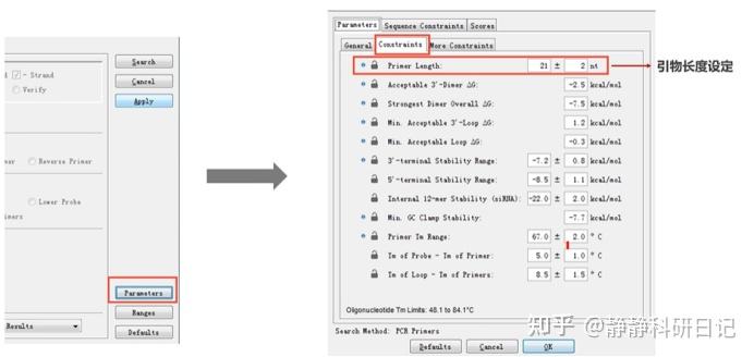 使用oligo7.0设计引物、评价引物以及如何尽量避免二聚体/发卡结构的产生 - 知乎