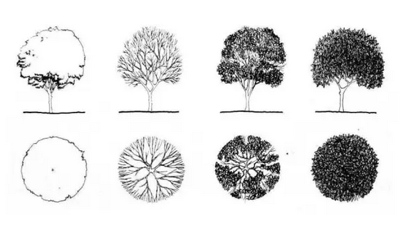 南京林业大学考研干货景观快题设计表达