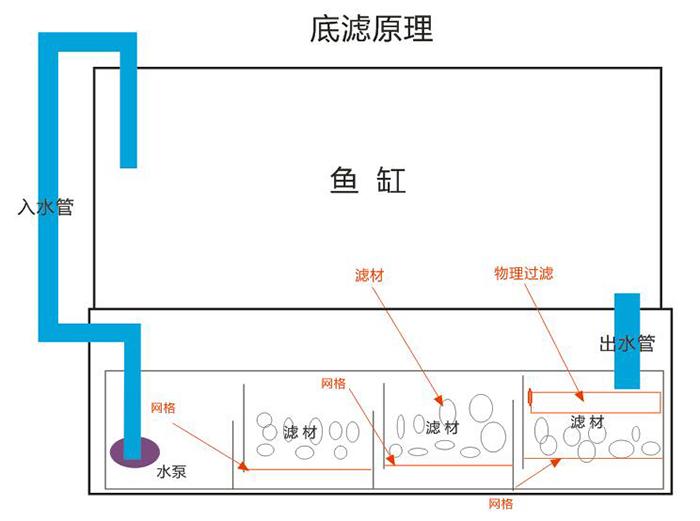 鱼缸平面图怎么画图片