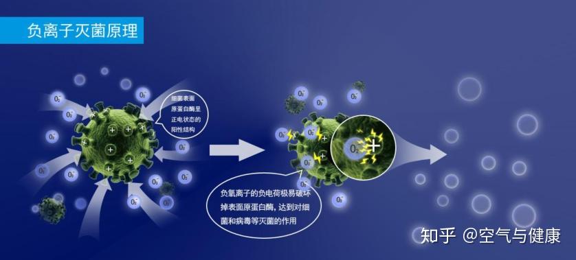 负氧离子消杀新技术走进校园! 