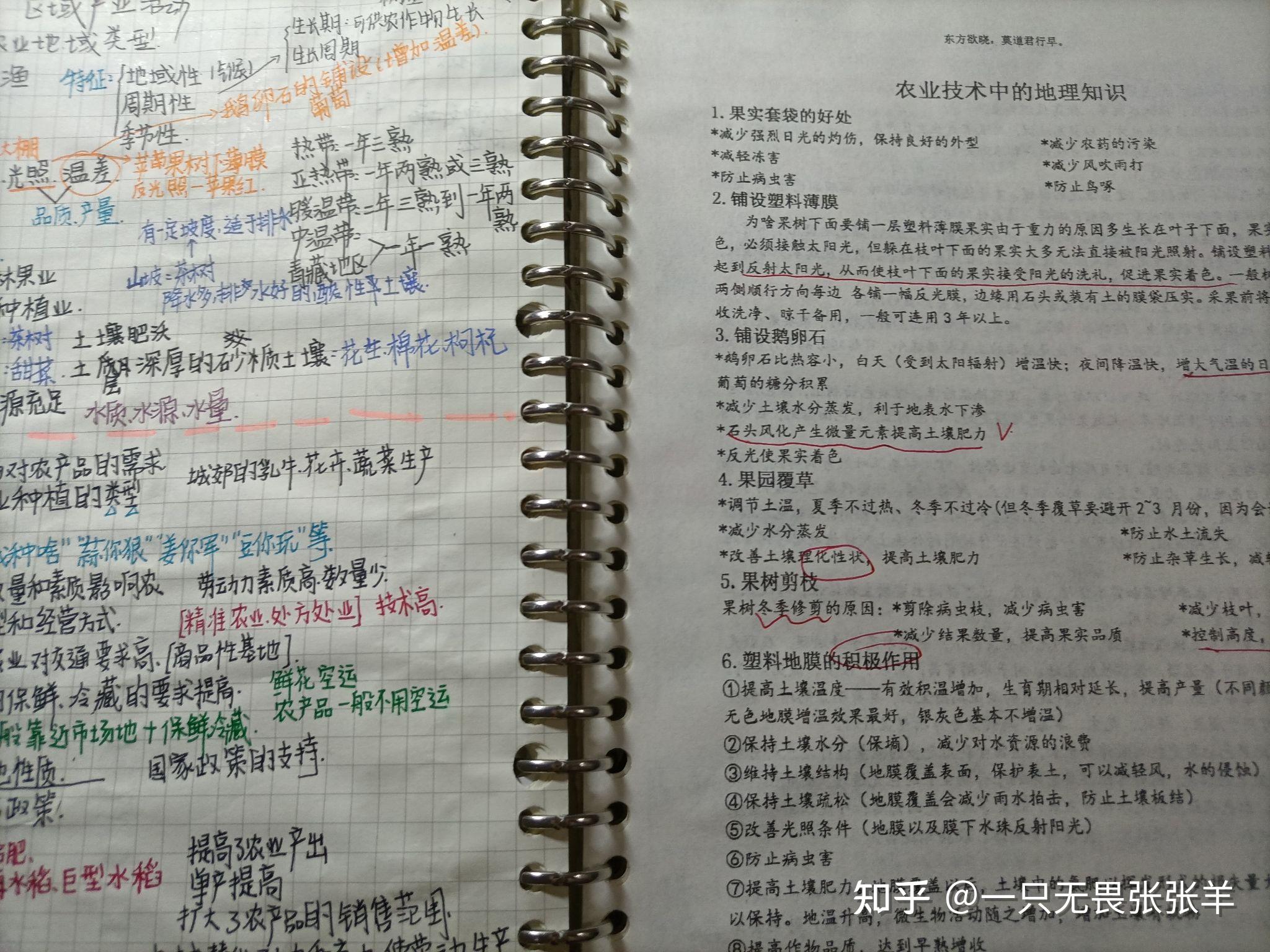 高中文科笔记记录