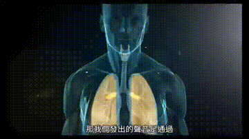 合唱声乐丨学声乐,最好从哪里开始? - 知乎
