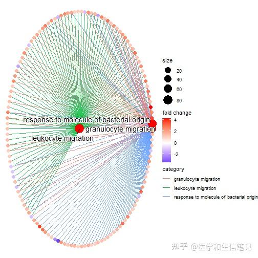 enrichplot富集分析可视化 - 知乎