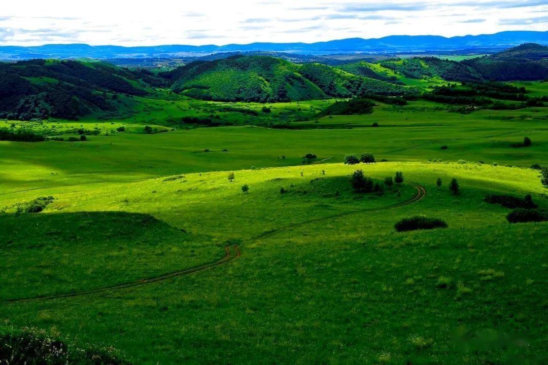 围场坝上草原景点介绍追寻自然之美探秘壮丽的坝上草原