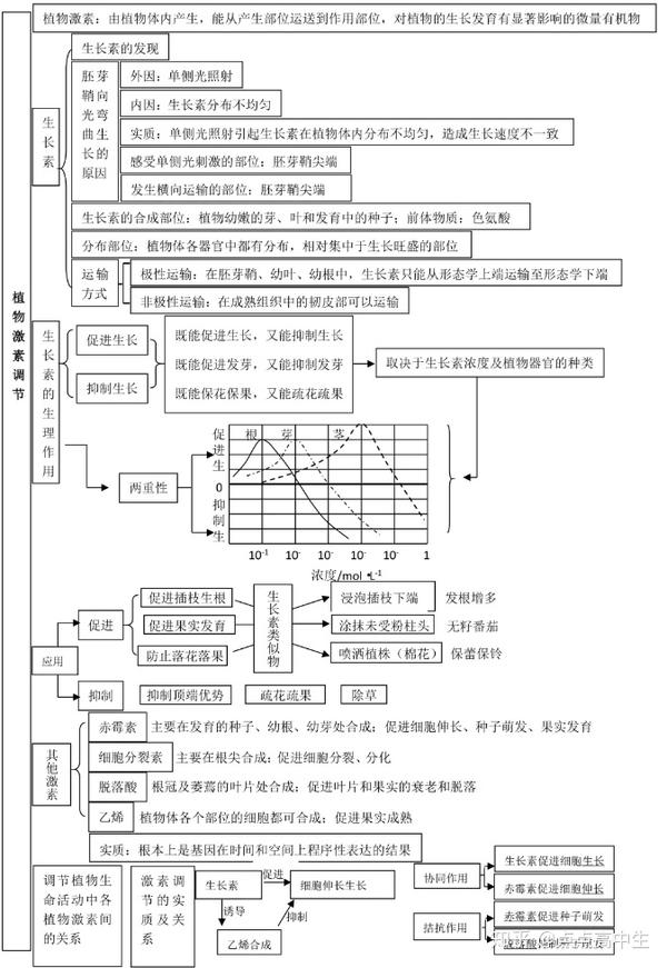 种群和群落思维导图图片