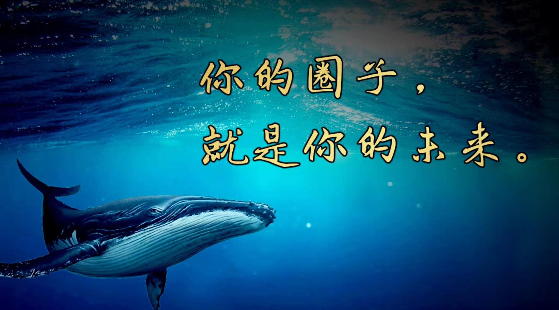 你的圈子,就是你的未来