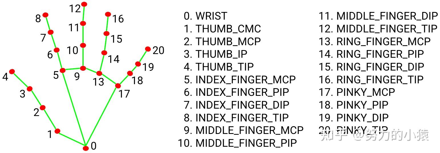 「AI视觉」手部关键点实时跟踪—MediaPipe Python 知乎