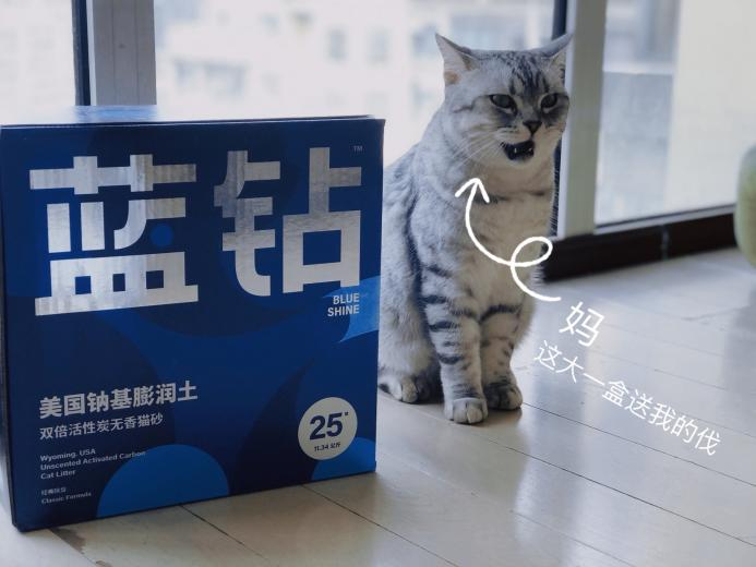 如何判断哪款猫砂适合猫主子,听主子的准没错! - 知乎