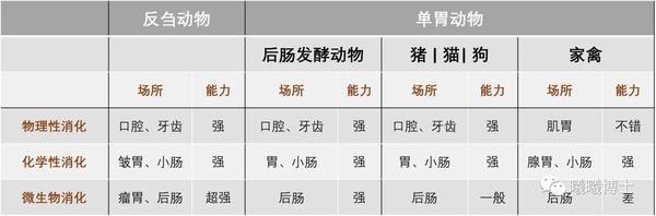 从消化道结构来说,单胃动物与反刍动物消化道的主要区别在于复胃与单