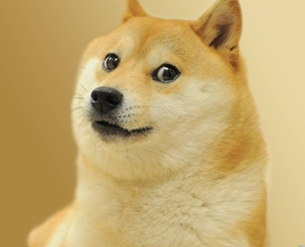 dogecoin为什么译成狗狗币