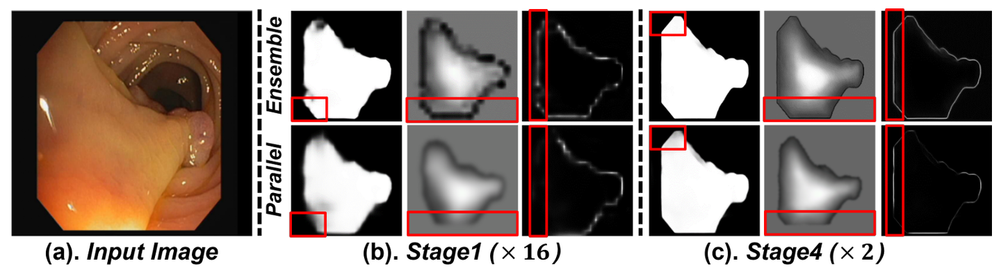 【CVPR2024】Generalizable Medical Image Segmentation by Multi-Frequency ...