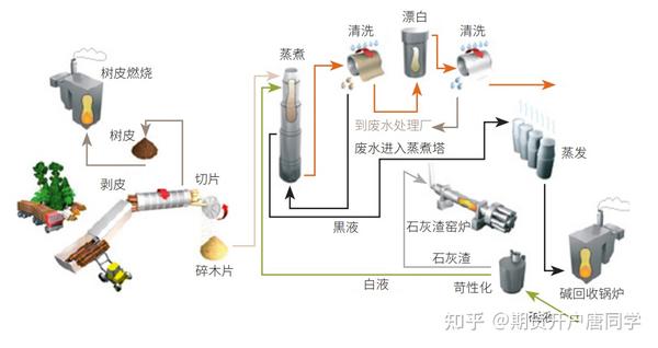 期货交易品种:纸浆品种及产业链介绍(一) - 知乎