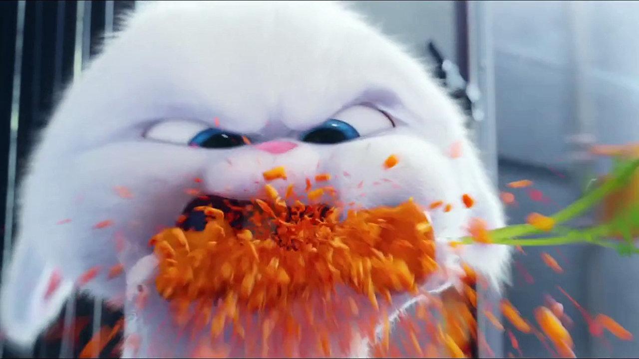 看电影学英语每日一剧 Revenge Vengeance Avenge 知乎