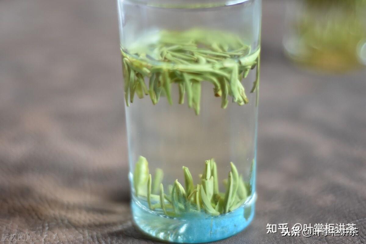 钛杯子适合泡茶吗 v2-d98be7e53031b6b227cf30d1881b465f_r.jpg