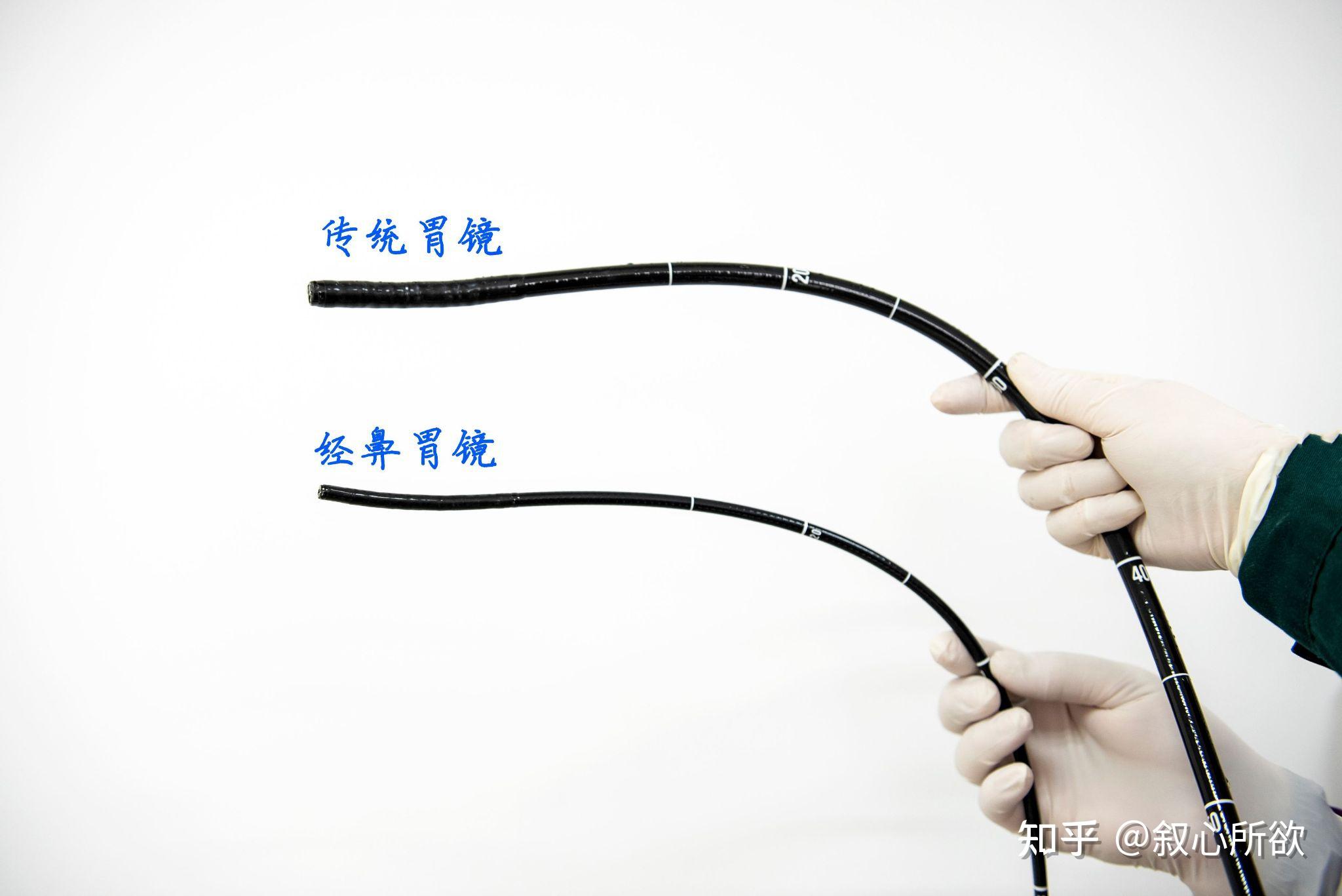 奥林巴斯电子治疗胃镜GIF-H290T【参数 报价/价格 图片】_成贯仪器（上海）有限公司